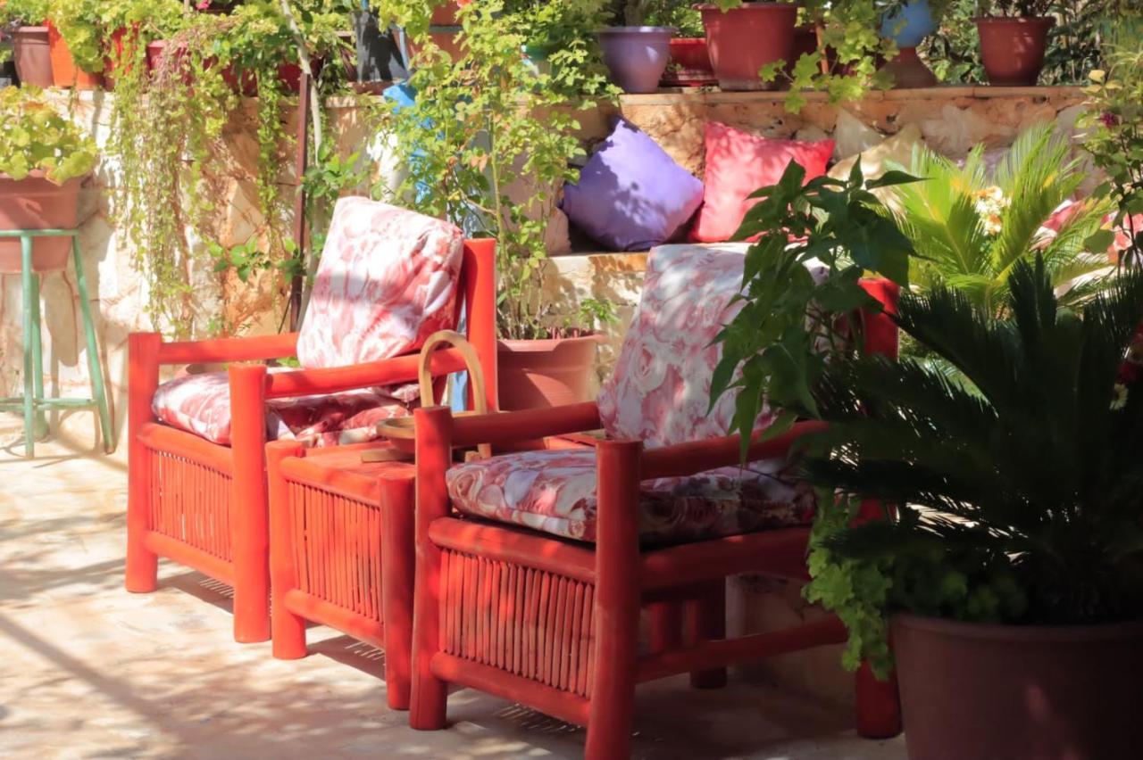 بيت الطبيعة Nature House Jarash Exterior photo