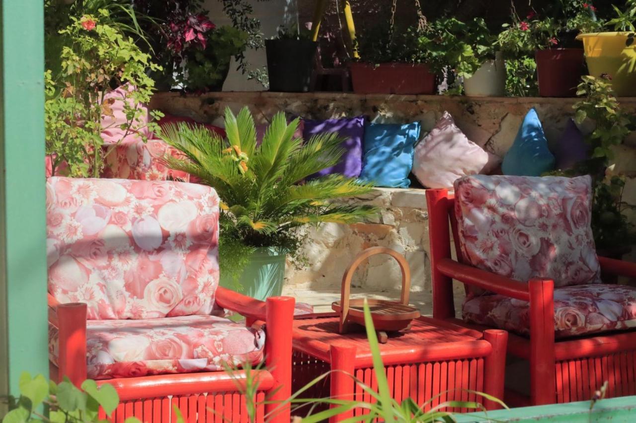 بيت الطبيعة Nature House Jarash Exterior photo