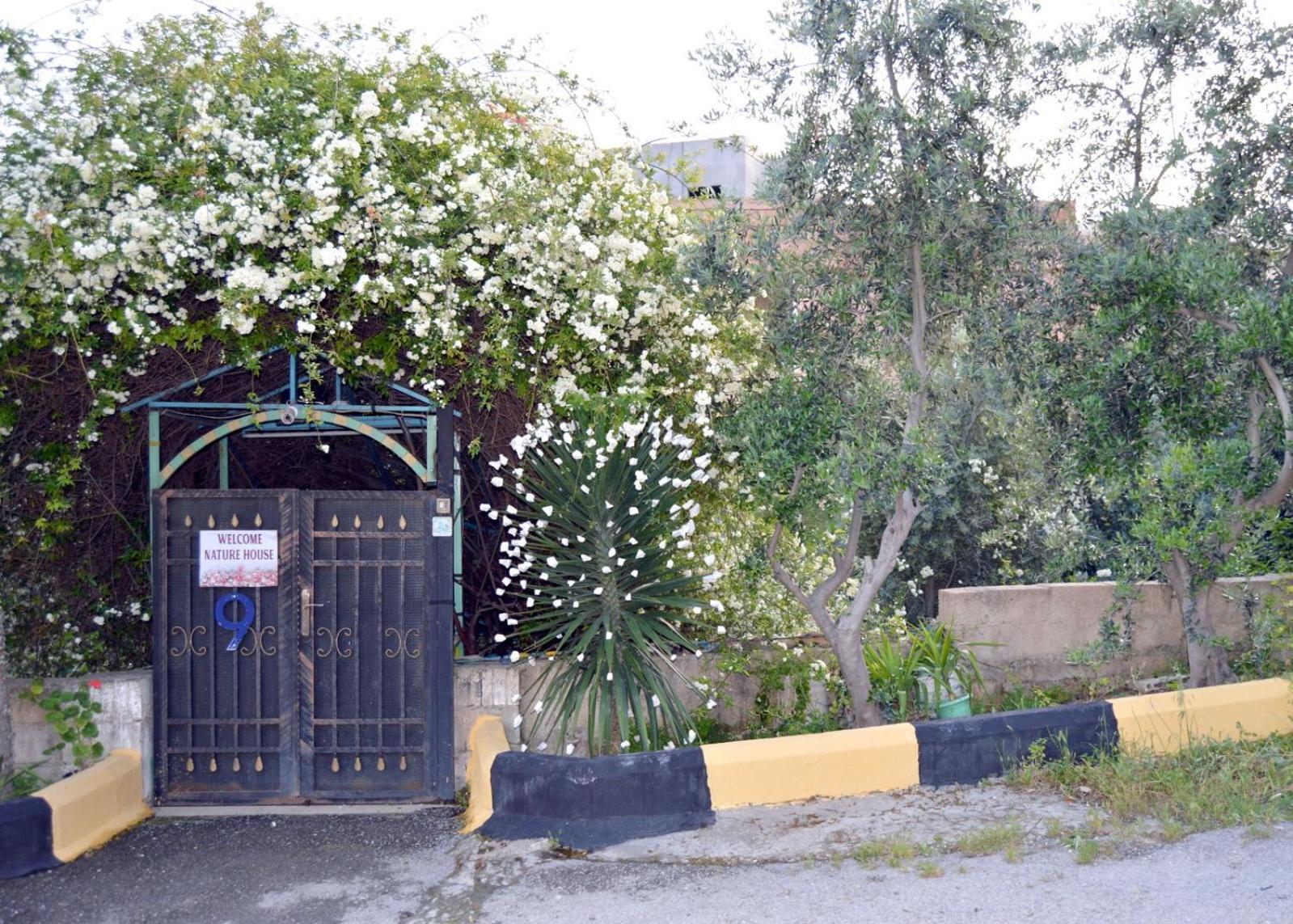 بيت الطبيعة Nature House Jarash Exterior photo