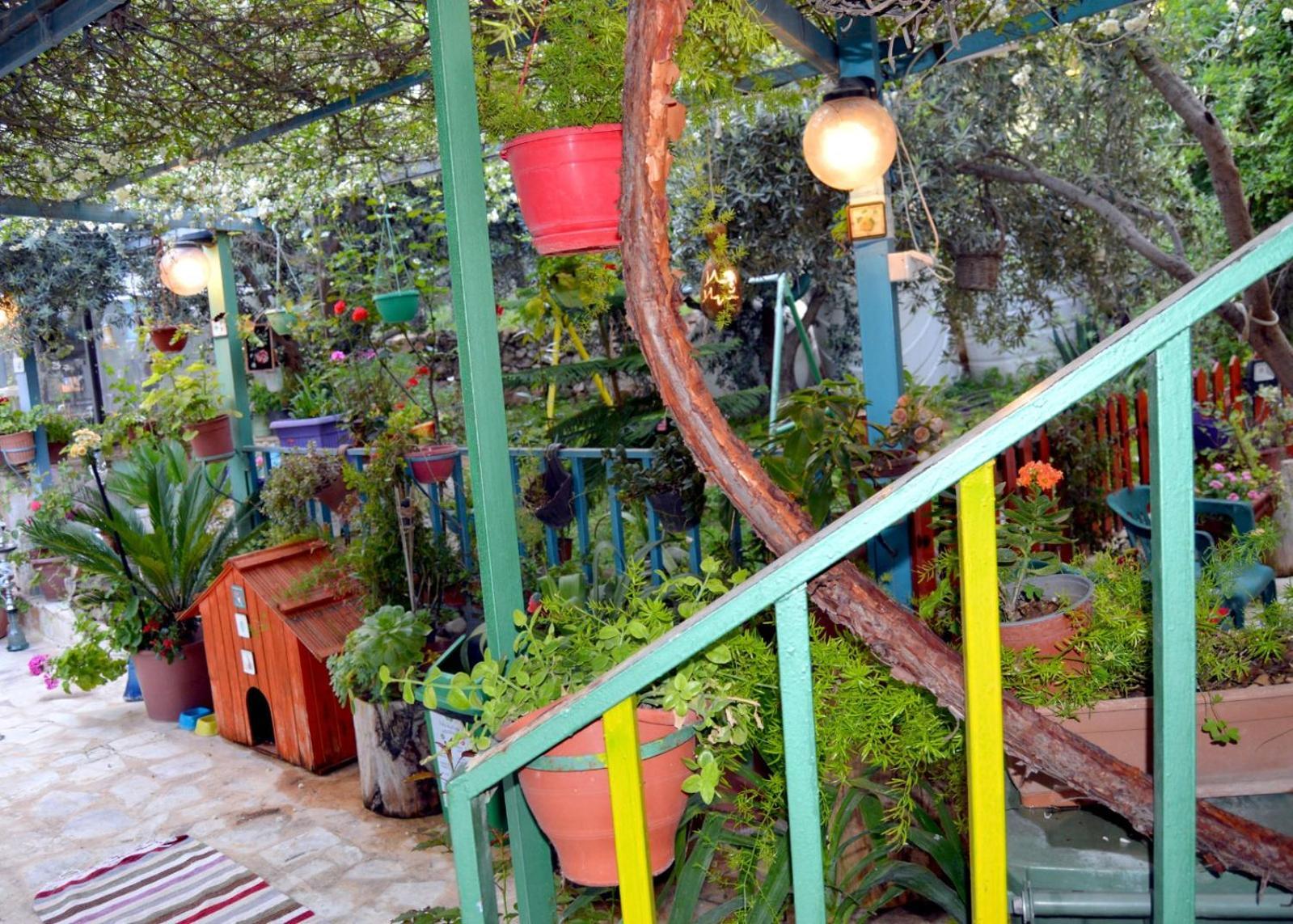 بيت الطبيعة Nature House Jarash Room photo