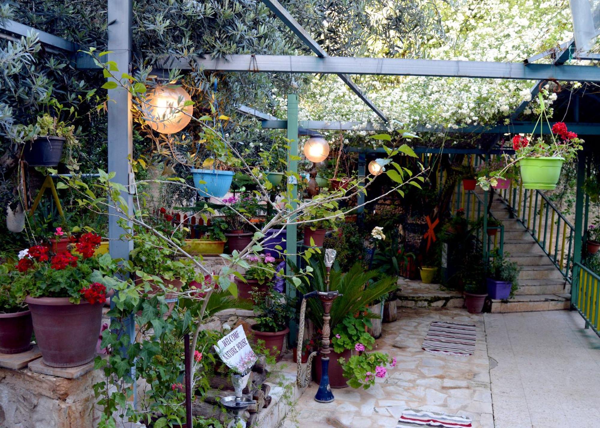 بيت الطبيعة Nature House Jarash Exterior photo